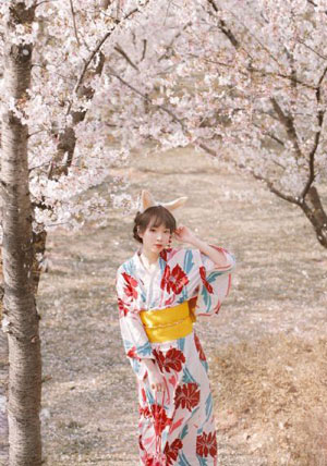 日本中文字幕一二区-院线迅雷下载电影